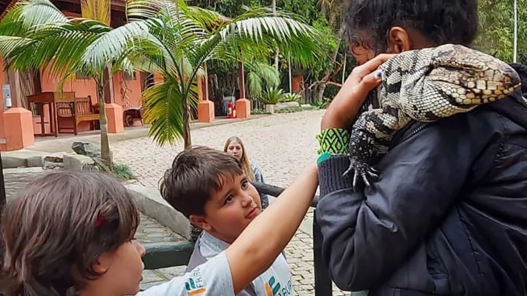 Toca da Raposa