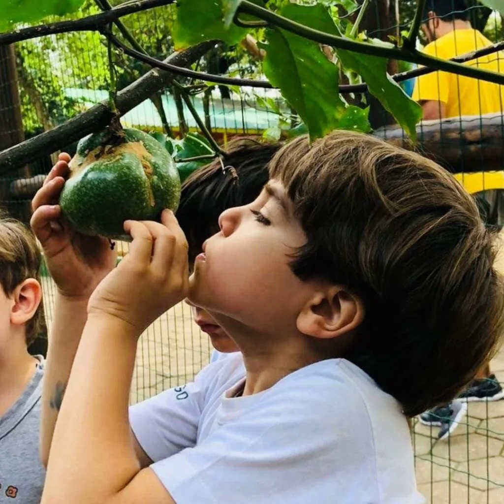 Sustentabilidade é a nossa natureza 8 7 1