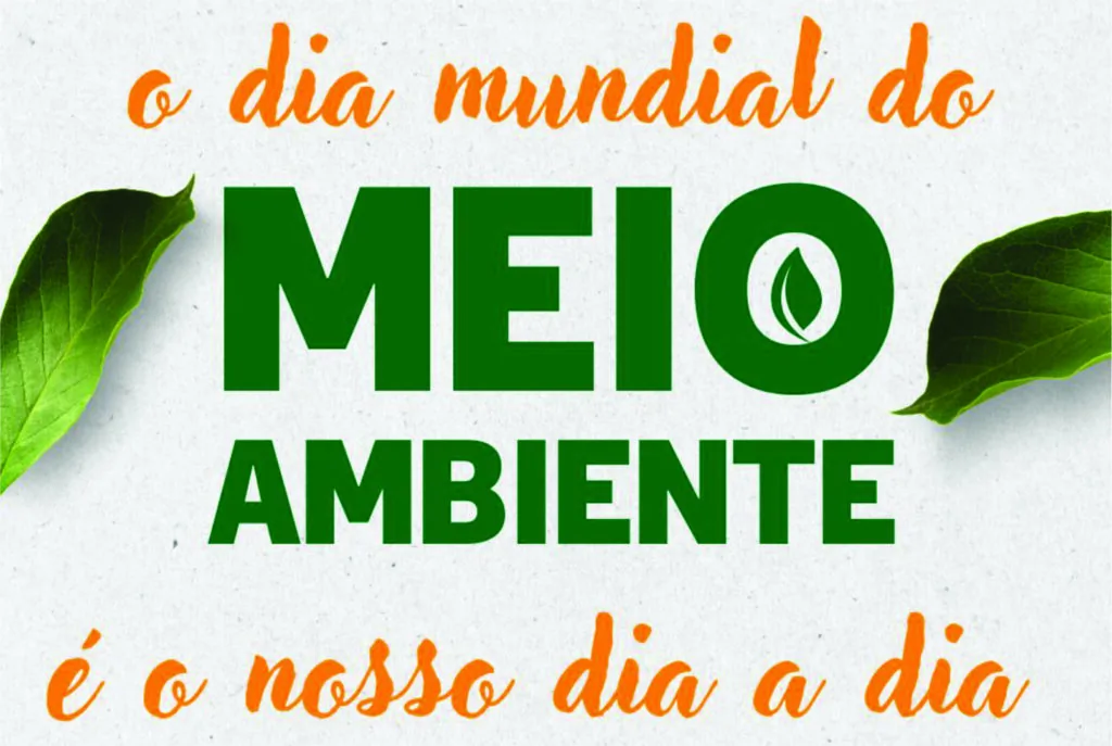 Casinha Meio Ambiente