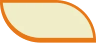 Vector