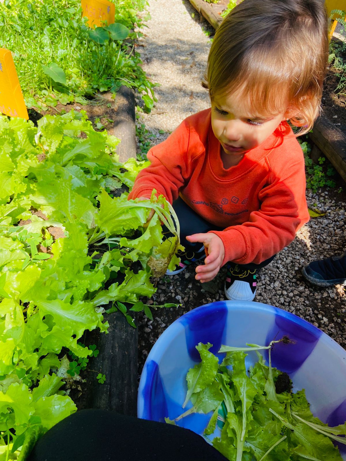 A NATUREZA COMO TERCEIRO EDUCADOR